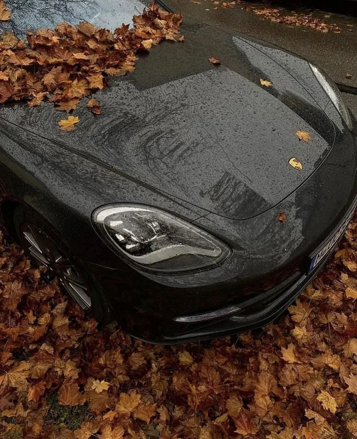 Autumn Refresh Package